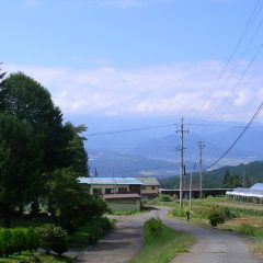 長野の林、あげます。