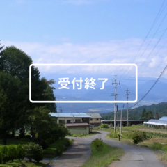 長野の林、あげます。